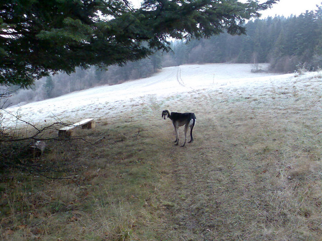 Lačnovský kaňon (Branisko)