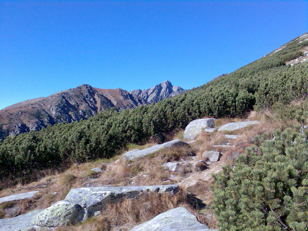 Predné Solisko (Vysoké Tatry)