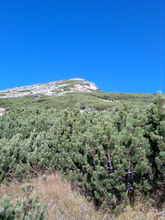 Predné Solisko (Vysoké Tatry)