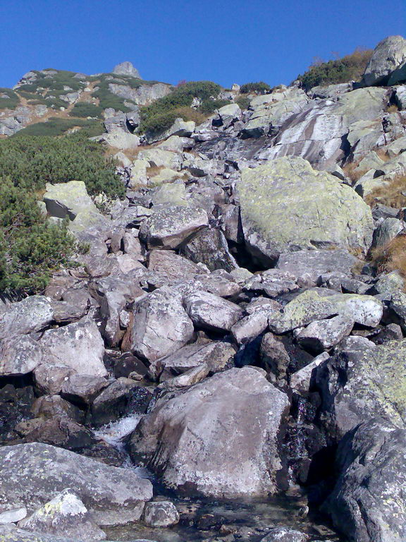 Rysy (Vysoké Tatry)