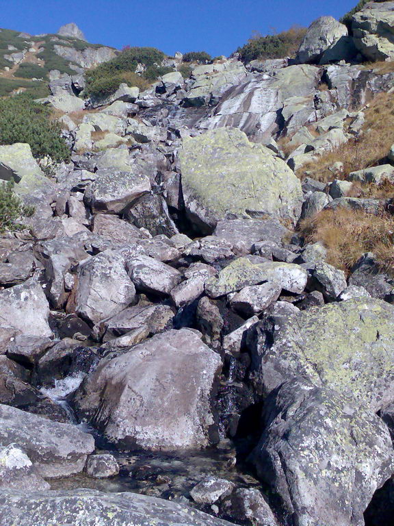 Rysy (Vysoké Tatry)