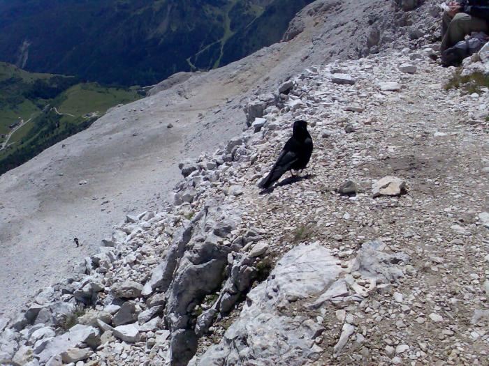 Boesee Kofel (Dolomity)