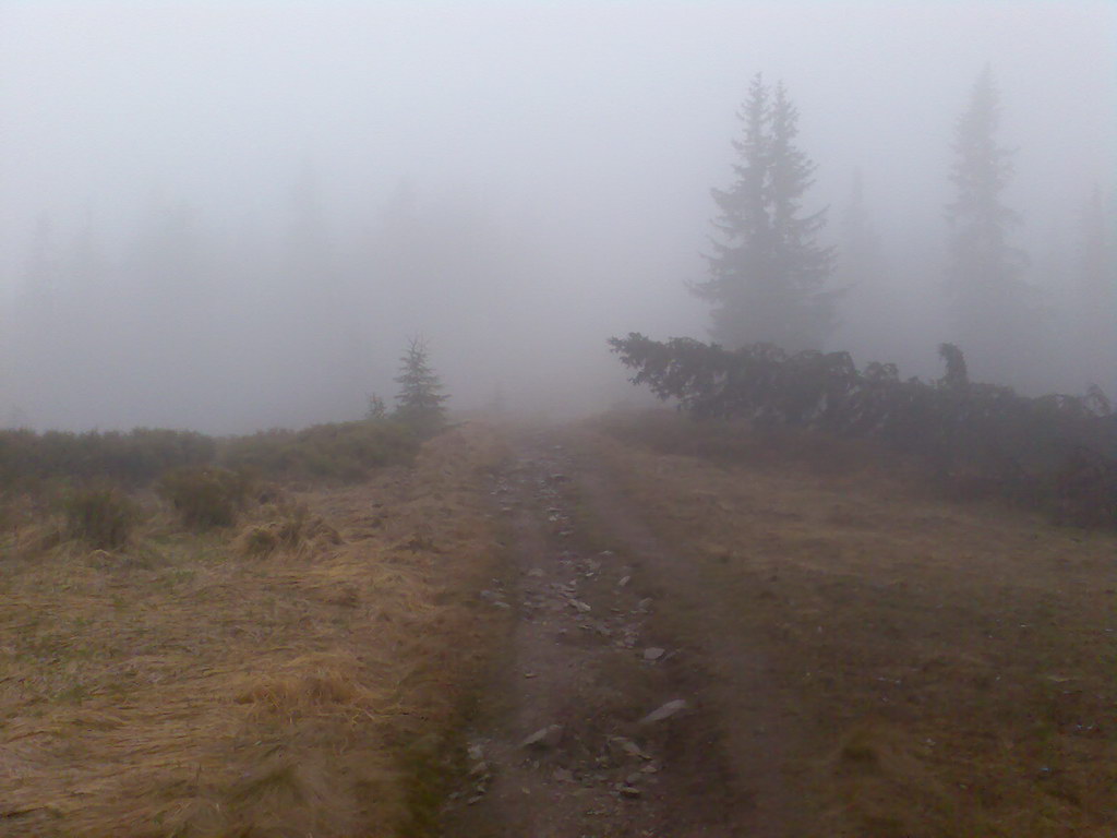 Centrálny hrebeň Nízkych Tatier - 1 deň (Nízke Tatry)