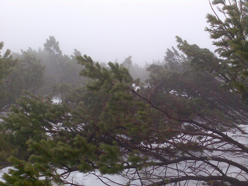 Centrálny hrebeň Nízkych Tatier - 1 deň (Nízke Tatry)