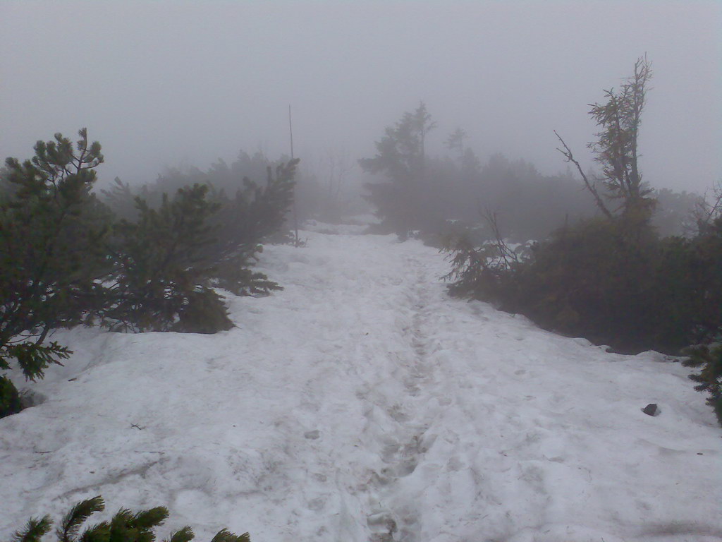 Centrálny hrebeň Nízkych Tatier - 1 deň (Nízke Tatry)