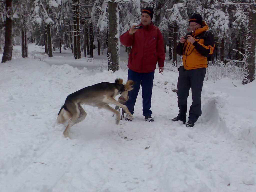 Chata Erika (Volovské vrchy)