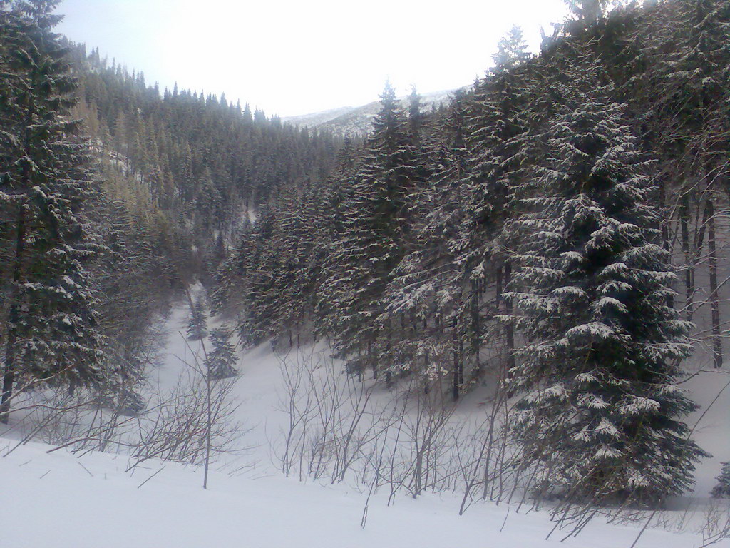 Chata generála M. R. Štefánika z Trangošky (Nízke Tatry)