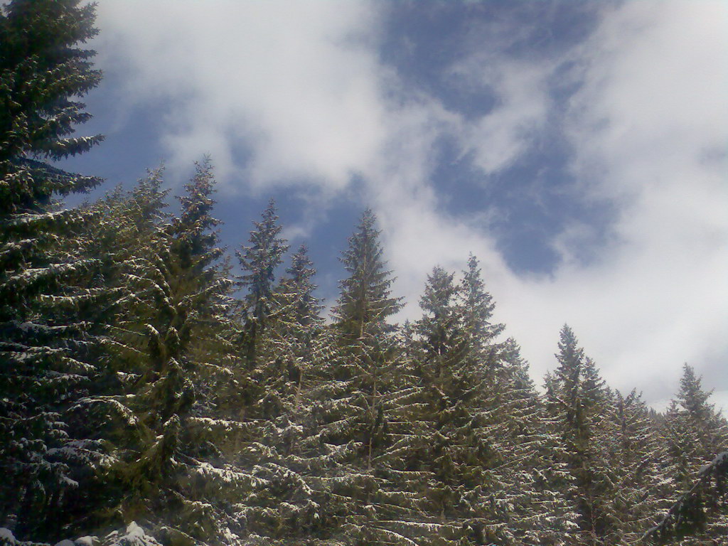 Chata generála M. R. Štefánika z Trangošky (Nízke Tatry)