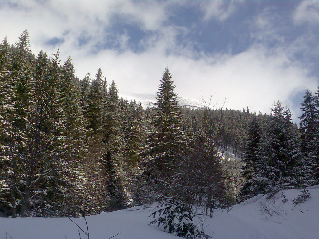 Chata generála M. R. Štefánika z Trangošky (Nízke Tatry)