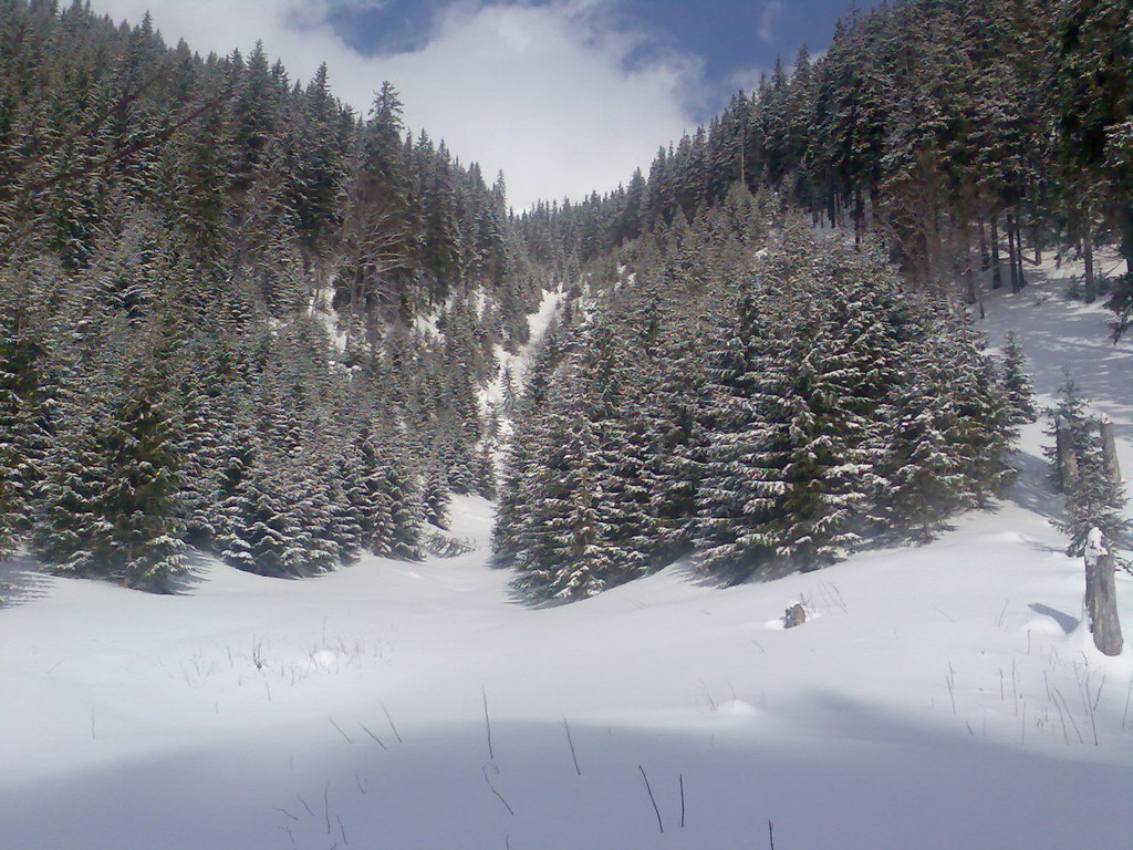 Chata generála M. R. Štefánika z Trangošky (Nízke Tatry)