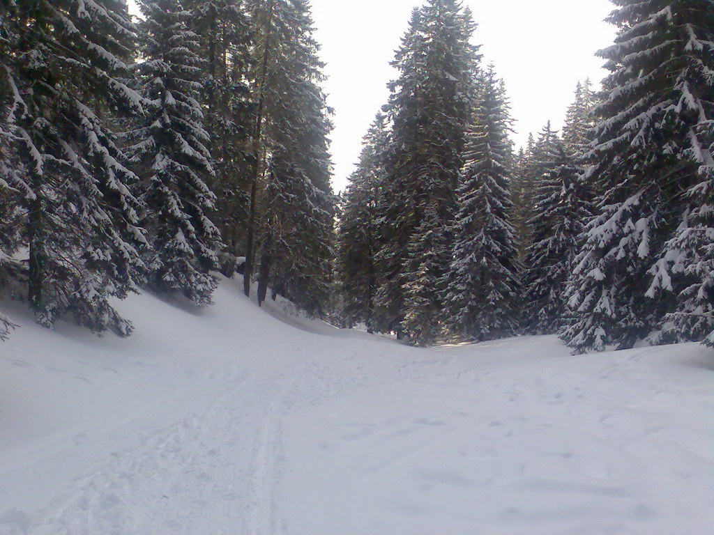 Chata generála M. R. Štefánika z Trangošky (Nízke Tatry)