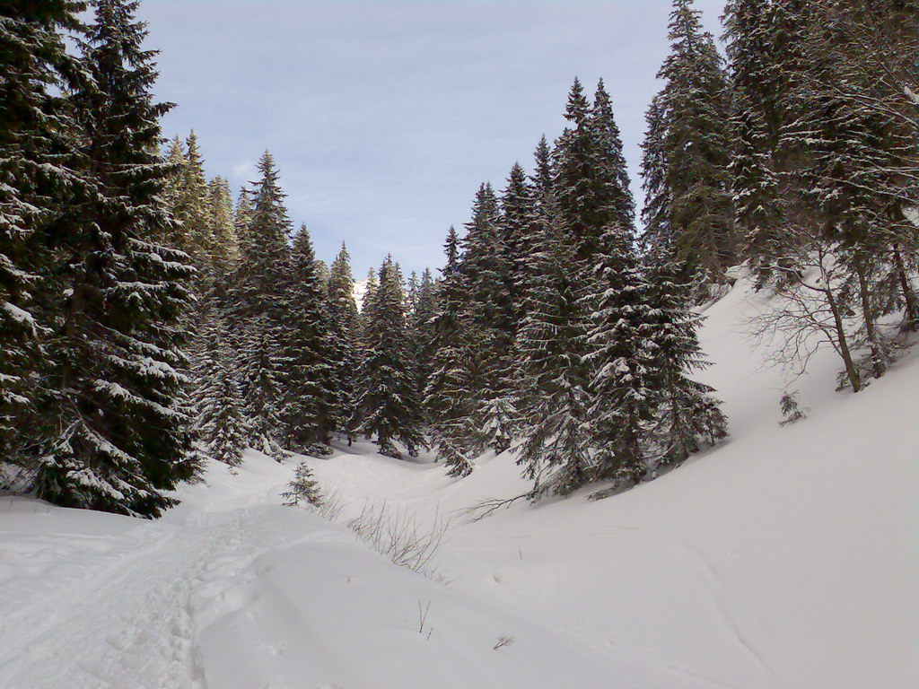 Chata generála M. R. Štefánika z Trangošky (Nízke Tatry)