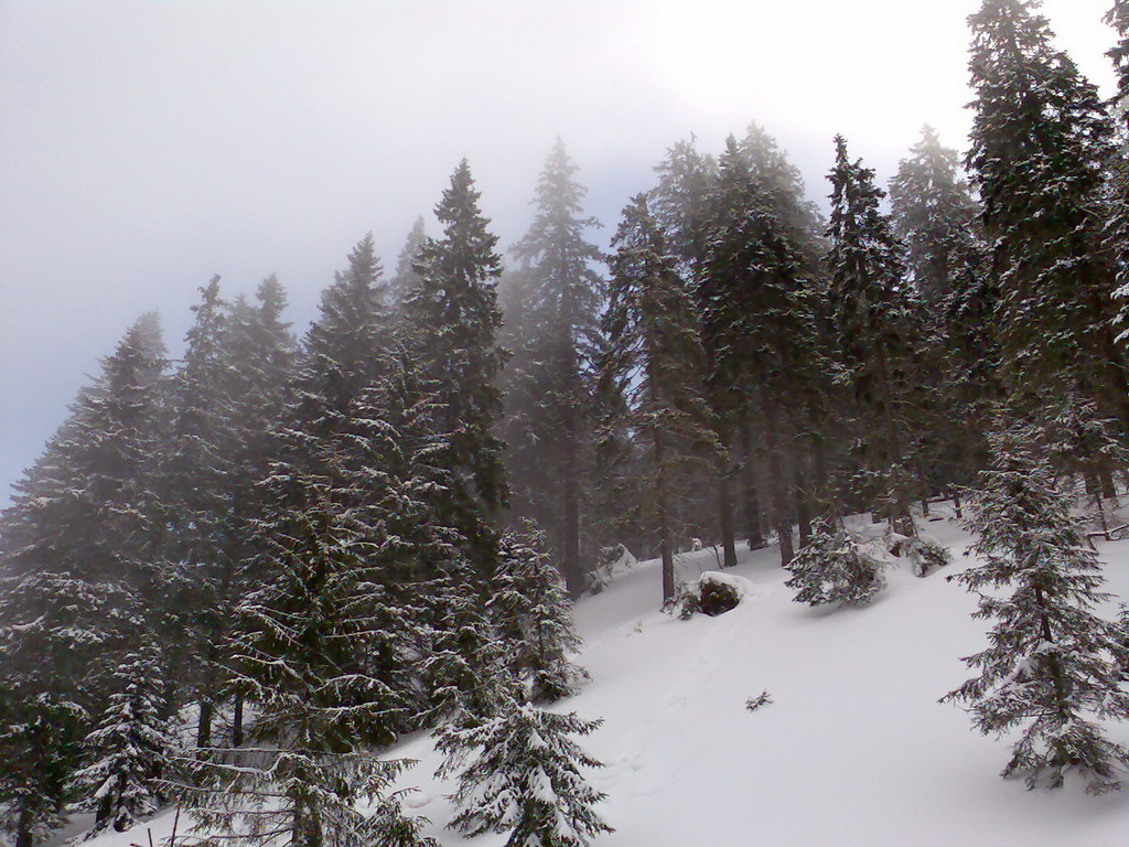 Chata generála M. R. Štefánika z Trangošky (Nízke Tatry)