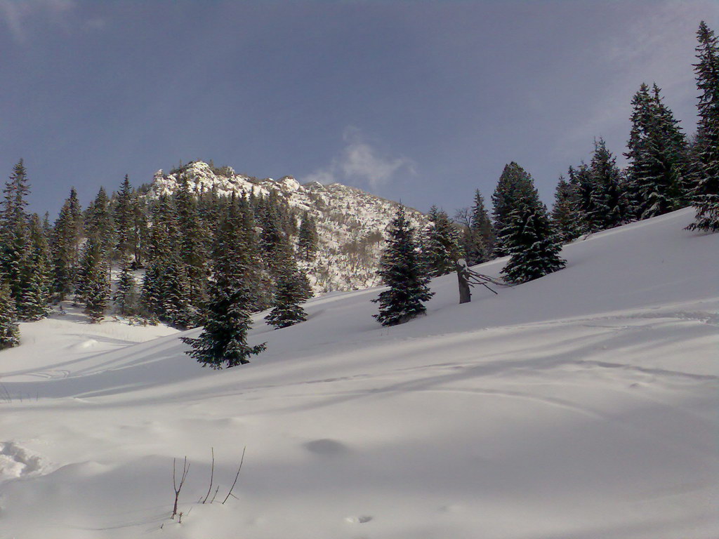 Chata generála M. R. Štefánika z Trangošky (Nízke Tatry)