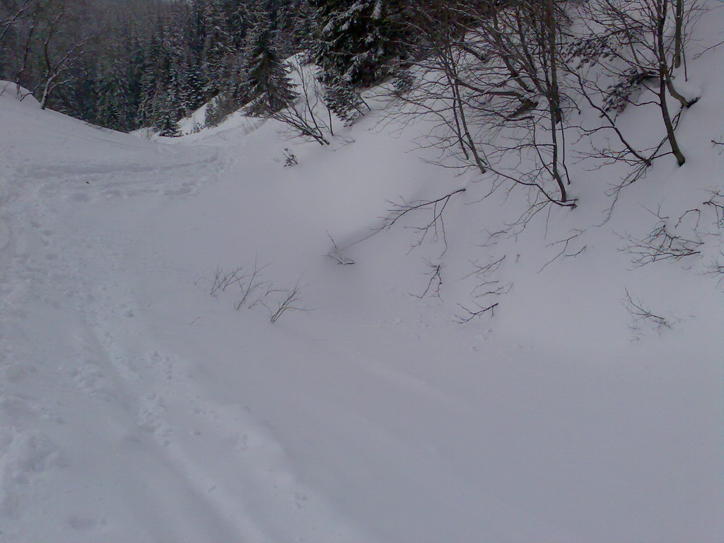 Chata generála M. R. Štefánika z Trangošky (Nízke Tatry)