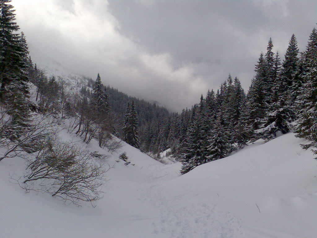 Chata generála M. R. Štefánika z Trangošky (Nízke Tatry)