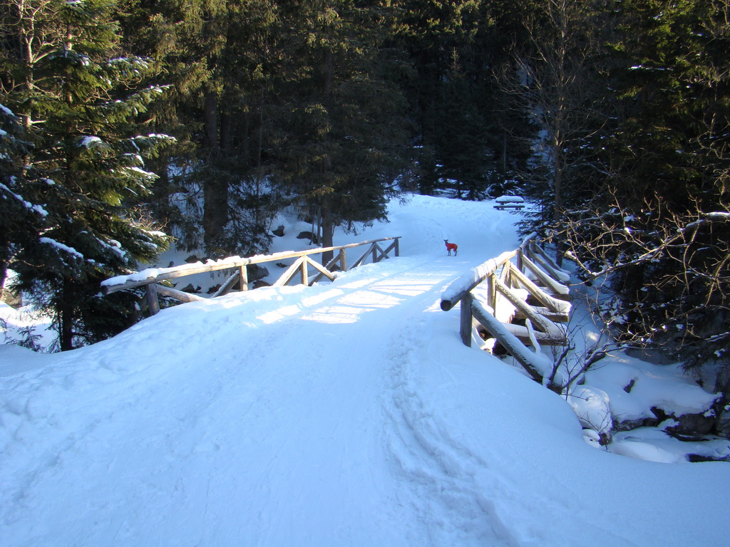 Chata pri Zelenom plese - Brnčalka (Vysoké Tatry)