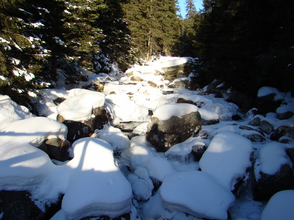 Chata pri Zelenom plese - Brnčalka (Vysoké Tatry)