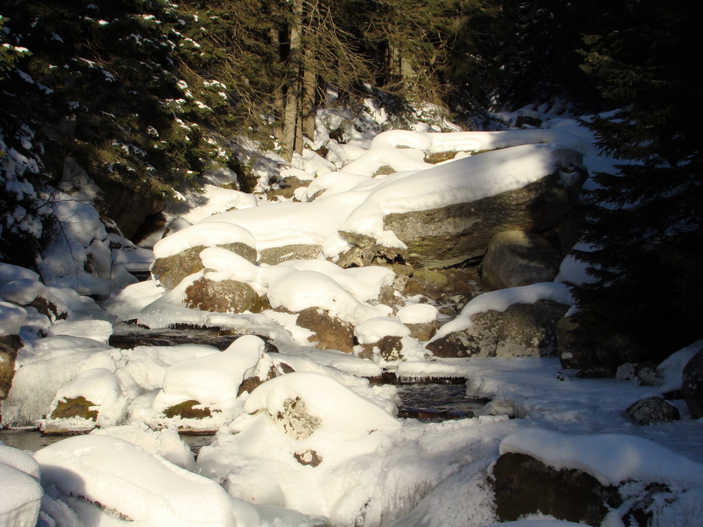 Chata pri Zelenom plese - Brnčalka (Vysoké Tatry)