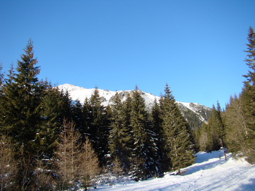 Chata pri Zelenom plese - Brnčalka (Vysoké Tatry)