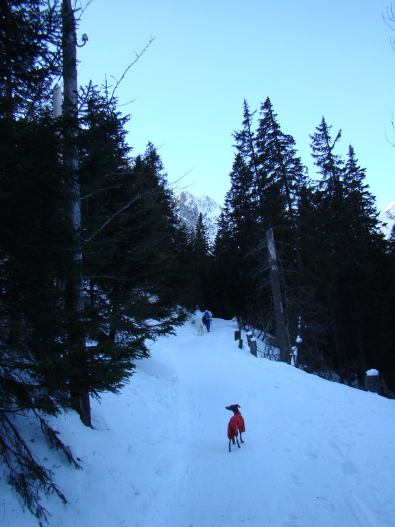 Chata pri Zelenom plese - Brnčalka (Vysoké Tatry)