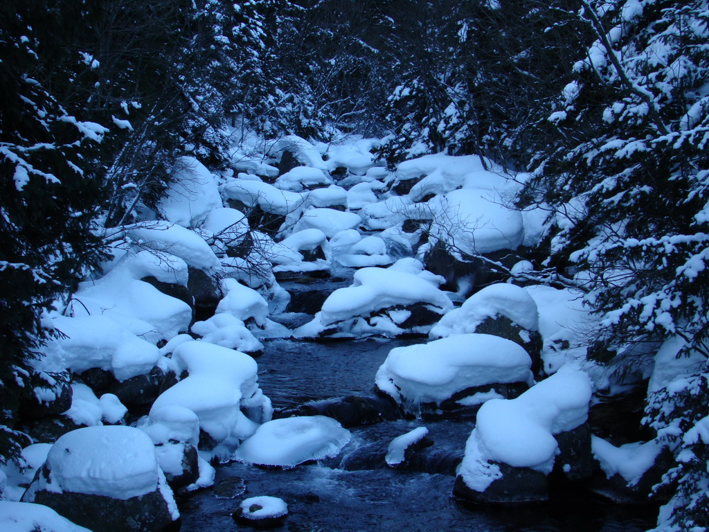 Chata pri Zelenom plese - Brnčalka (Vysoké Tatry)