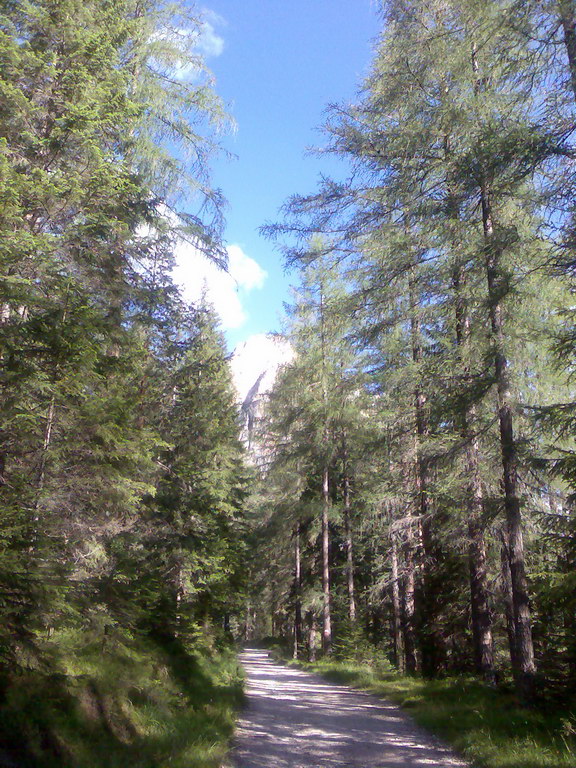 Ettore Bovero Col Rosa (Dolomity)