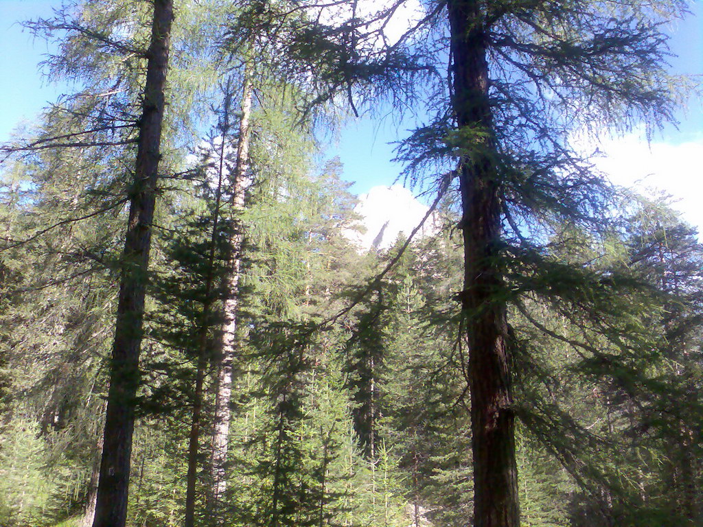 Ettore Bovero Col Rosa (Dolomity)