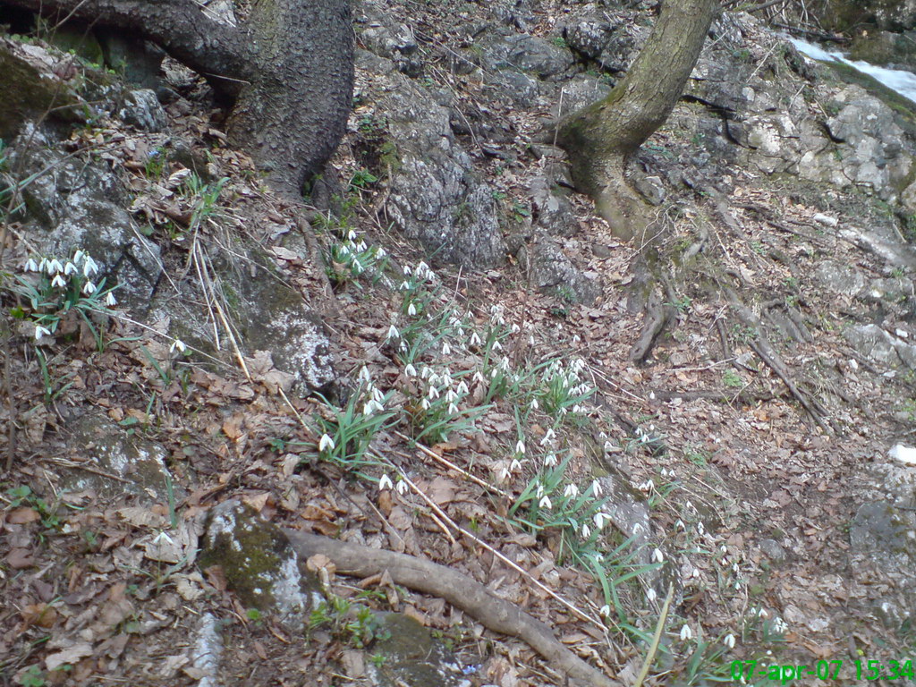 Geravy (Slovenský raj)