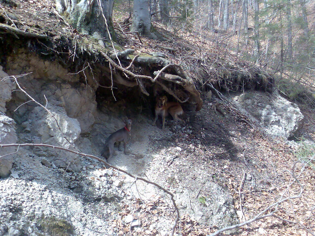 Havrania skala (Slovenský raj)