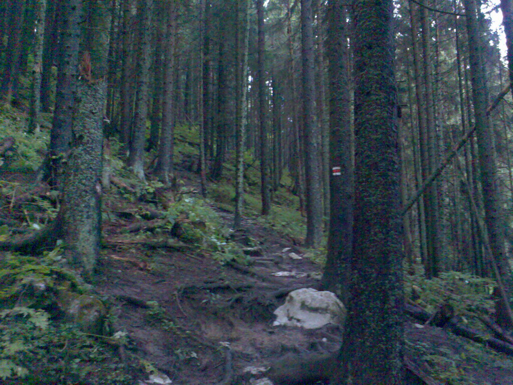 Hrebeňovka Západných Tatier - 1 a 2 deň (Západné Tatry)