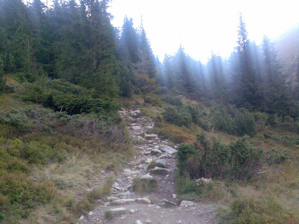 Hrebeňovka Západných Tatier - 3 deň (Západné Tatry)