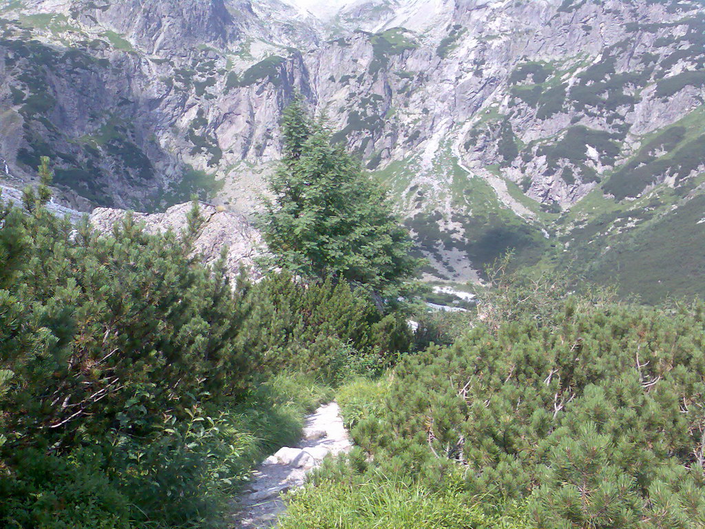 Jahňací štít zo Skalnatého plesa (Vysoké Tatry)