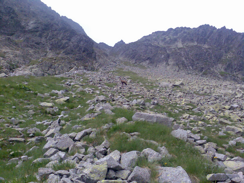 Jahňací štít zo Skalnatého plesa (Vysoké Tatry)