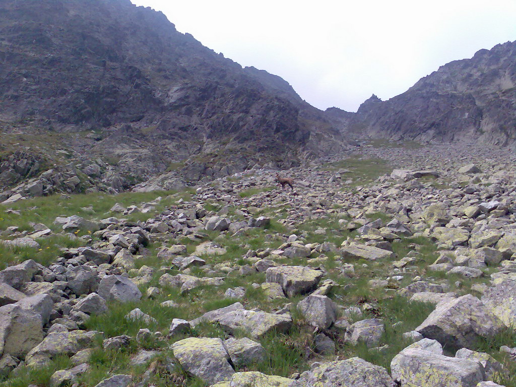 Jahňací štít zo Skalnatého plesa (Vysoké Tatry)