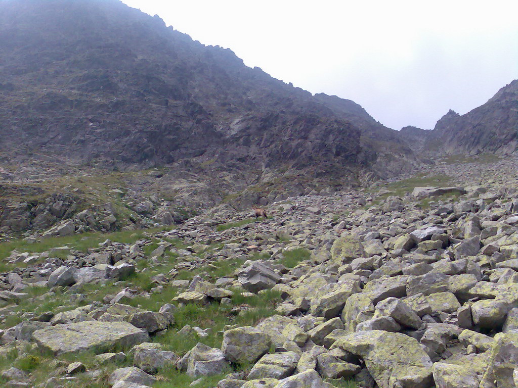 Jahňací štít zo Skalnatého plesa (Vysoké Tatry)