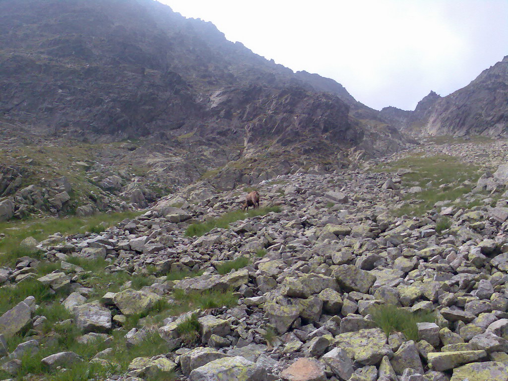 Jahňací štít zo Skalnatého plesa (Vysoké Tatry)