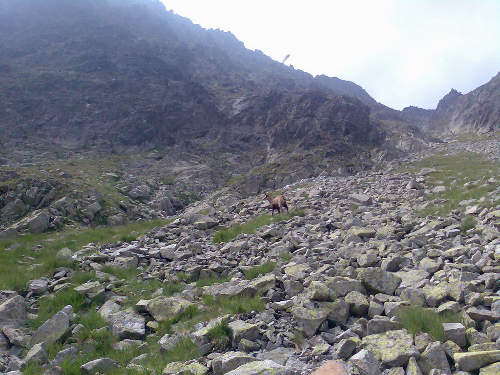 Jahňací štít zo Skalnatého plesa (Vysoké Tatry)