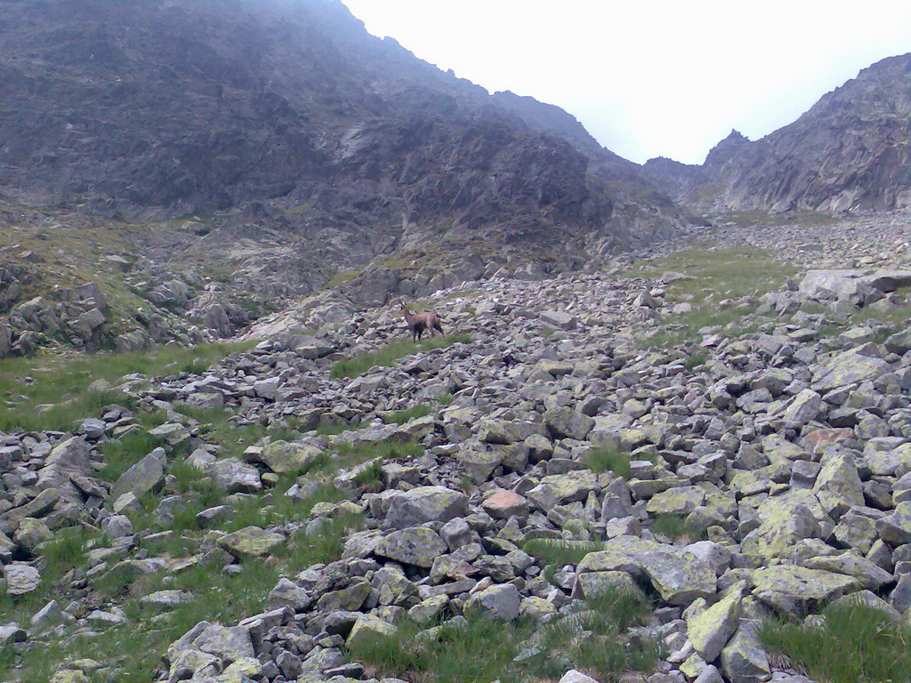 Jahňací štít zo Skalnatého plesa (Vysoké Tatry)