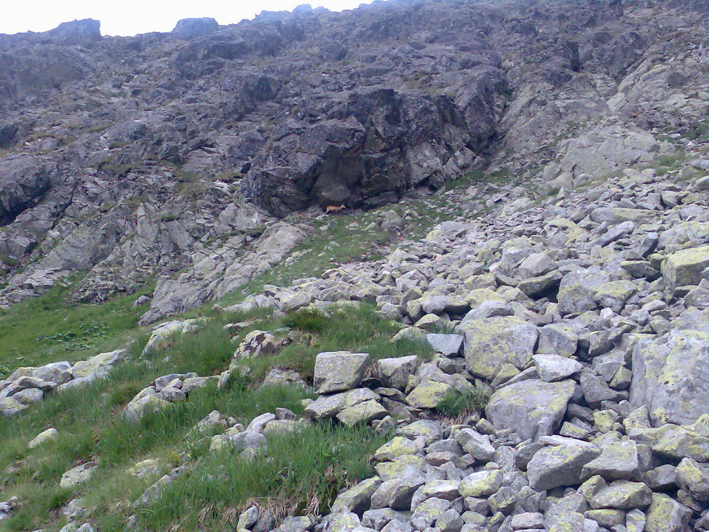 Jahňací štít zo Skalnatého plesa (Vysoké Tatry)