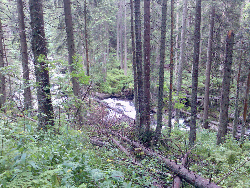 Jahňací štít zo Skalnatého plesa (Vysoké Tatry)