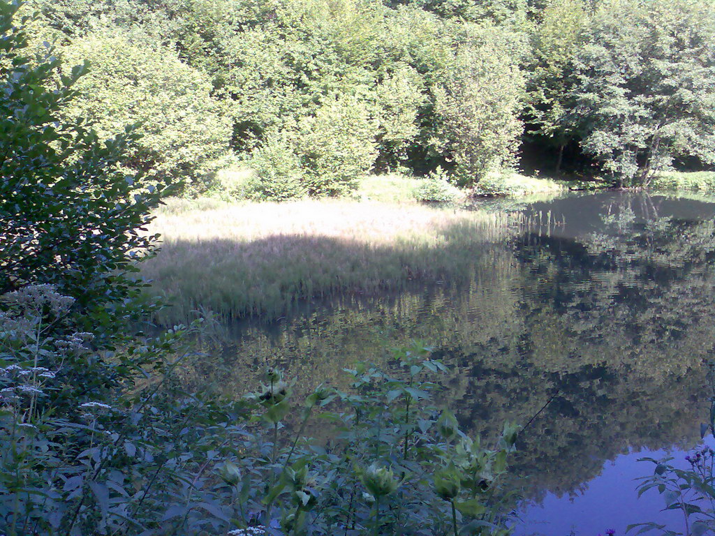 Jelení vrch z Medzeva (Slovenský kras)