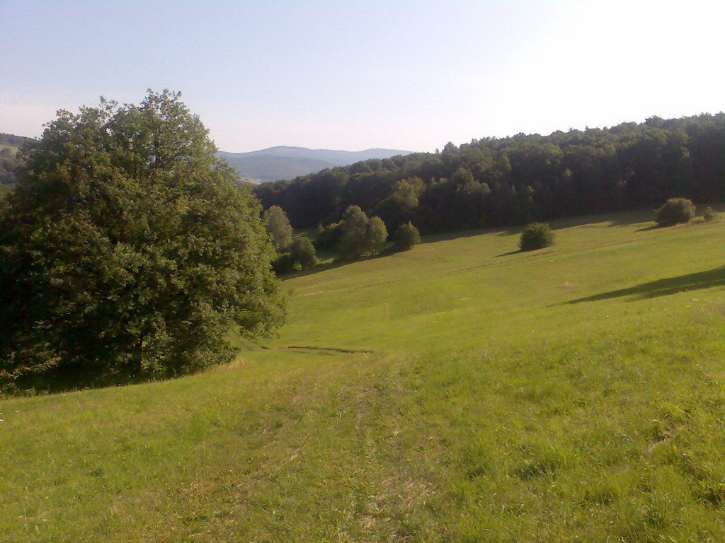 Jelení vrch z Medzeva (Slovenský kras)