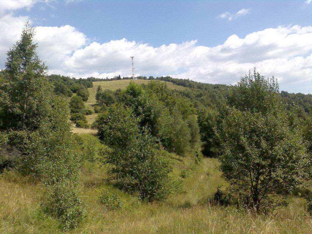 Jelení vrch z Medzeva (Slovenský kras)