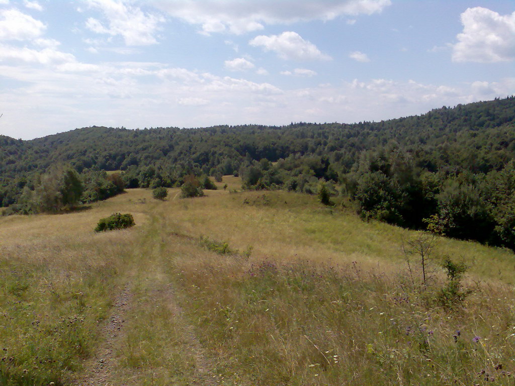 Jelení vrch z Medzeva (Slovenský kras)