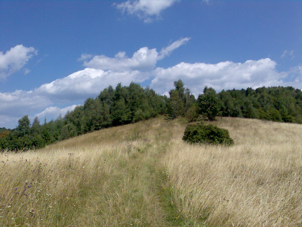 Jelení vrch z Medzeva (Slovenský kras)