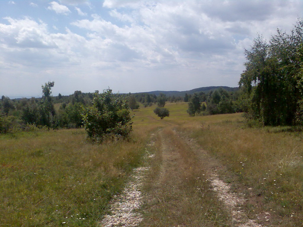 Jelení vrch z Medzeva (Slovenský kras)