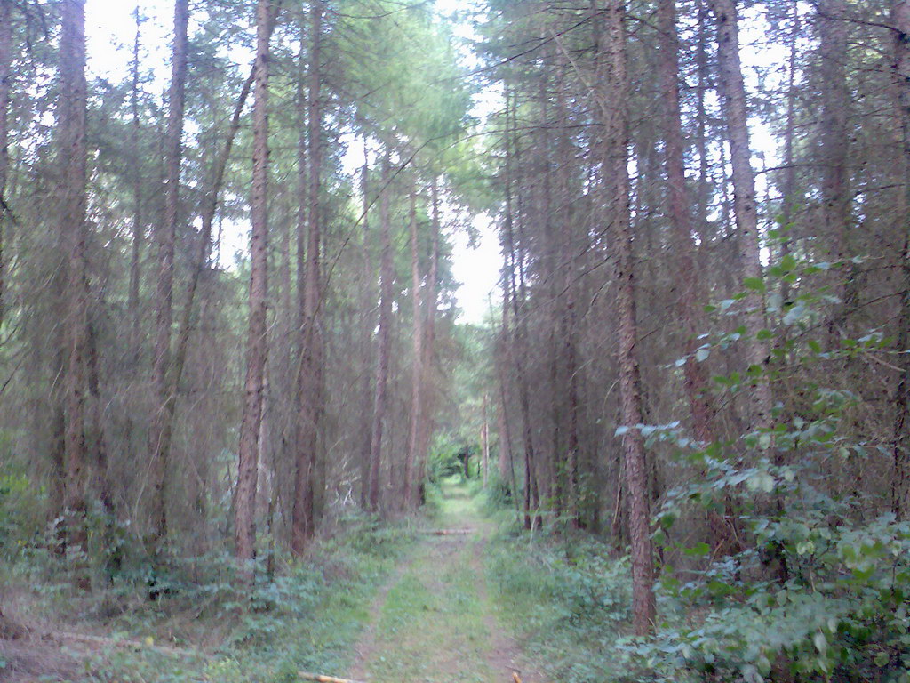 Jelení vrch z Medzeva (Slovenský kras)