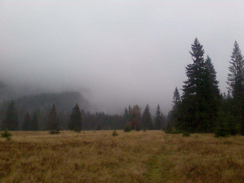 Krakova hoľa z Lúčok (Nízke Tatry)