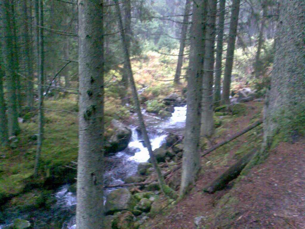 Krakova hoľa z Lúčok (Nízke Tatry)